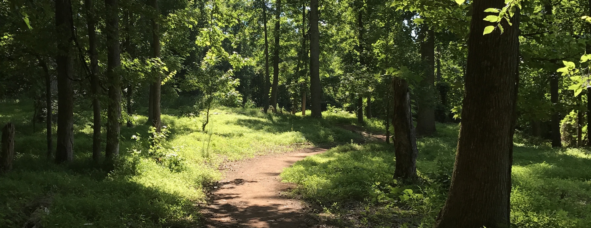 Heroes Hike with Veterans Bridge Home at Duke Kimbrell Trail
